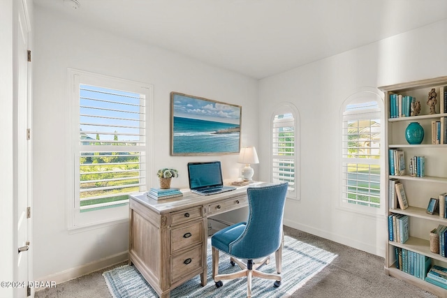 view of carpeted office space