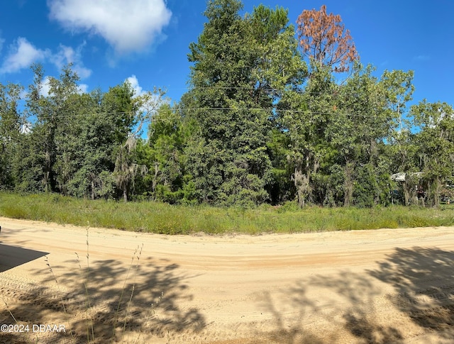 0 April Ave, Interlachen FL, 32148 land for sale