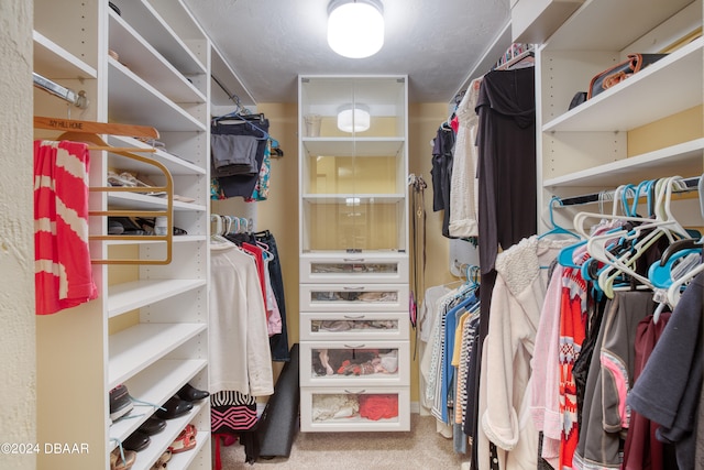 spacious closet with carpet floors