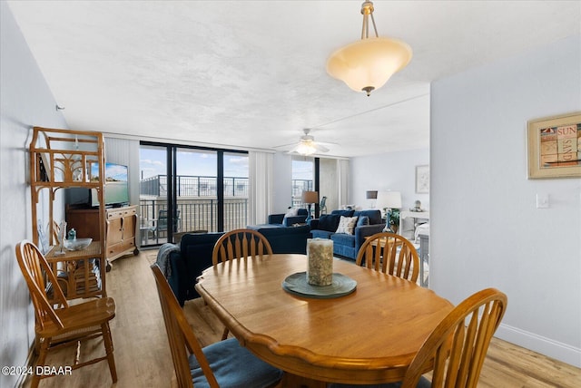 dining room with a wall of windows, light hardwood / wood-style flooring, and ceiling fan