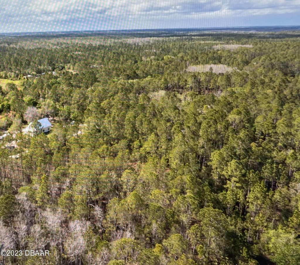 0 Kola Rd, New Smyrna Beach, FL 32168 - photo 3