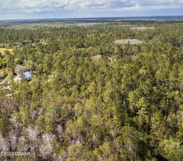 0 Kola Rd, New Smyrna Beach, FL 32168 - photo 3
