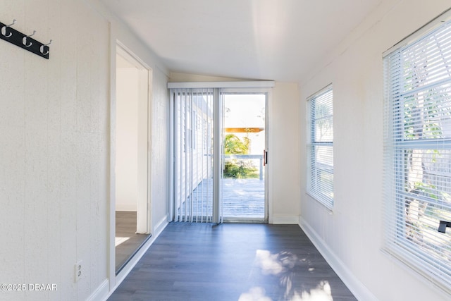 entryway featuring dark hardwood / wood-style floors and lofted ceiling