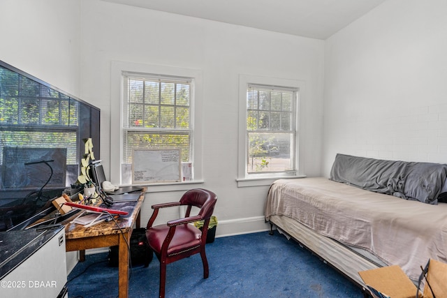 bedroom featuring baseboards and carpet floors