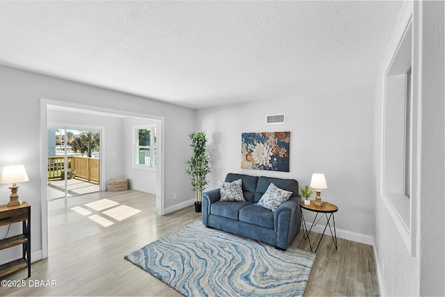 living room with a textured ceiling and light hardwood / wood-style flooring