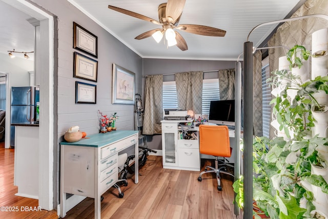 532 Lafayette St, Port Orange, FL 32127 - office space with ornamental molding, light wood-style flooring, and ceiling fan