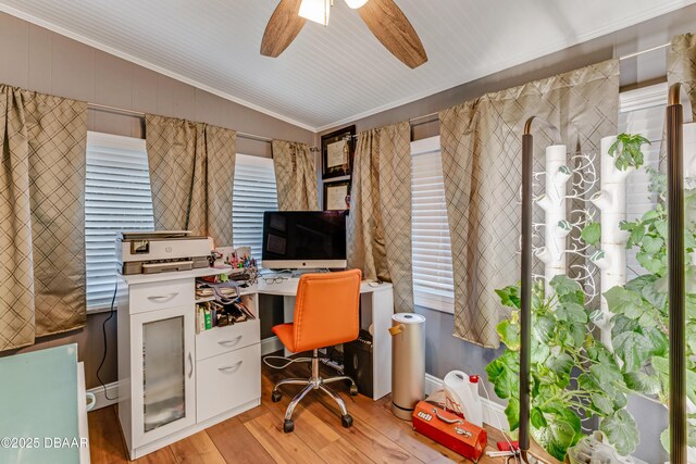 532 Lafayette St, Port Orange, FL 32127 - office with lofted ceiling, crown molding, light wood-type flooring, and a ceiling fan