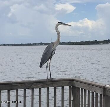 2901 N Halifax Ave Unit 218, Daytona Beach, FL 32118 - water view