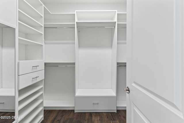 562 Landshark Blvd, Daytona Beach, FL 32124 - walk in closet featuring dark wood-style floors