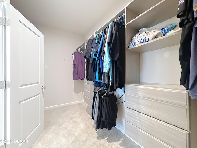 walk in closet featuring carpet floors