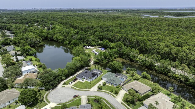 6172 Knotty Pine Ct, Port Orange, FL 32127 - photo 61