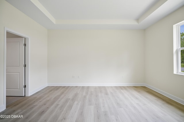 empty room with a healthy amount of sunlight, light hardwood / wood-style flooring, and a tray ceiling