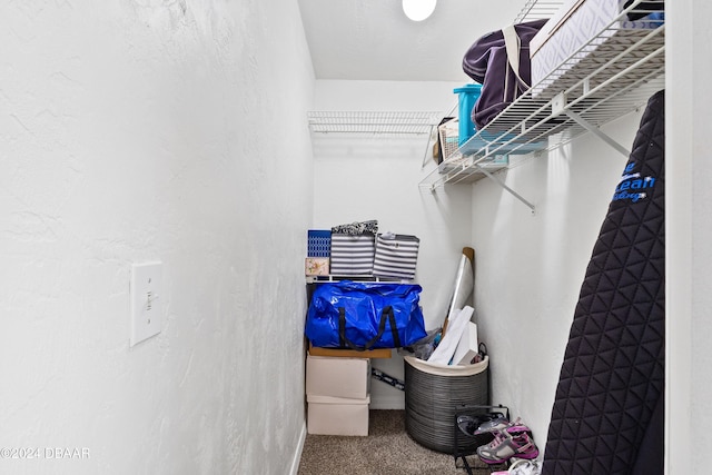 spacious closet with carpet flooring