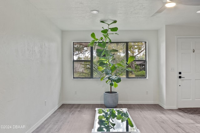 interior space with light wood-type flooring and ceiling fan