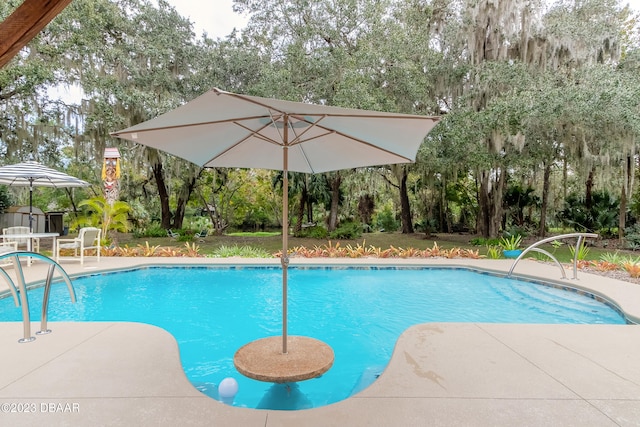 view of pool featuring a patio