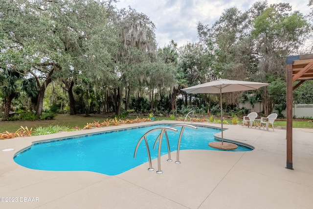 view of pool with a patio