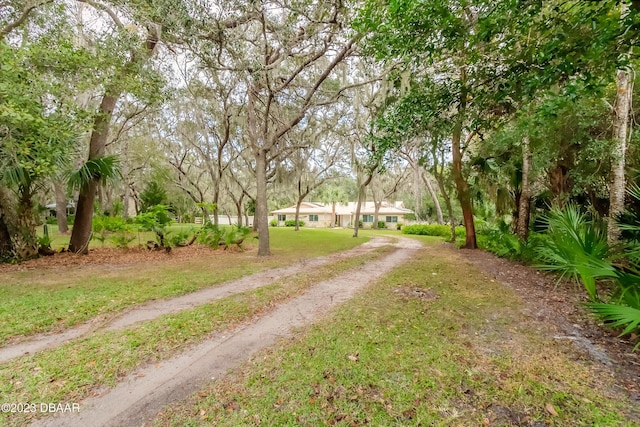 120 Oak Ln, Ormond Beach, FL 32174 - photo 4