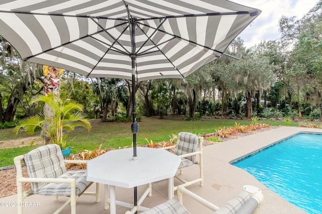 view of pool with a lawn and a patio area