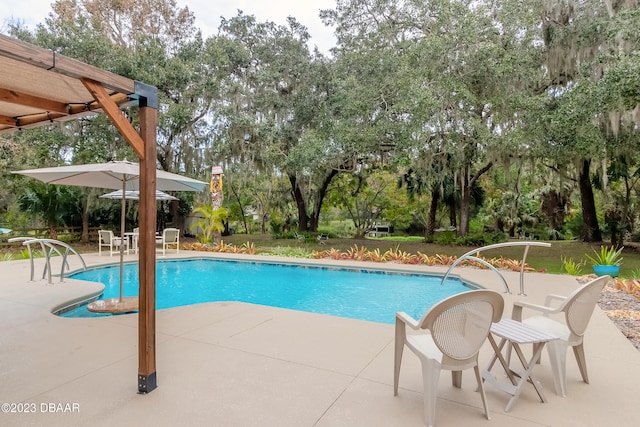 view of swimming pool with a patio area