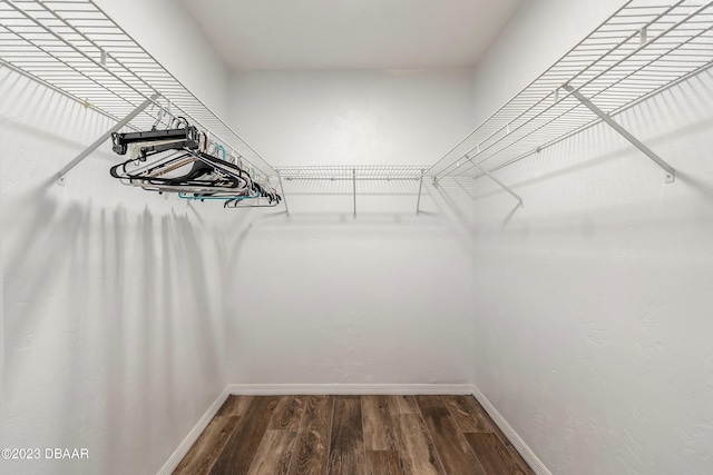 walk in closet featuring hardwood / wood-style floors