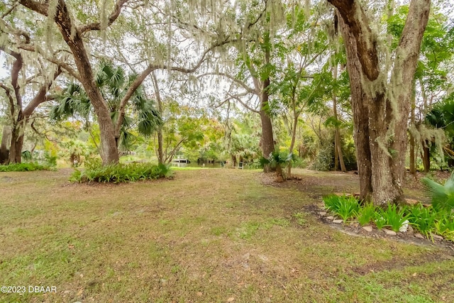 120 Oak Ln, Ormond Beach, FL 32174 - photo 52