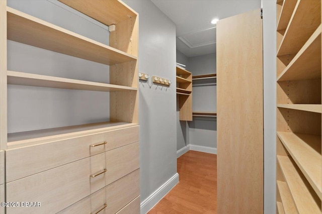 walk in closet with wood finished floors