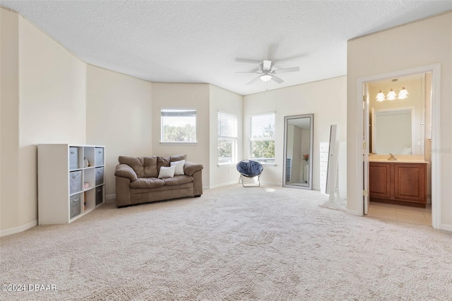 sitting room featuring a textured ceiling and light carpet