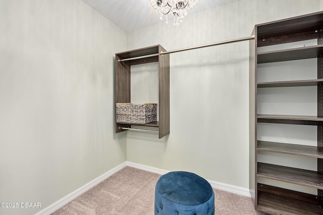 118 Bird Of Paradise Dr, Palm Coast, FL 32137 - walk in closet featuring carpet flooring and a chandelier