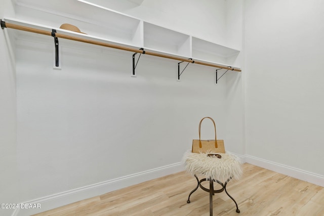 spacious closet with hardwood / wood-style flooring