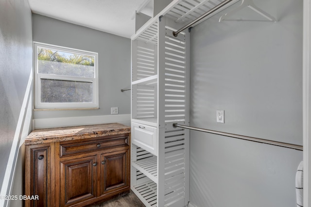 spacious closet with dark hardwood / wood-style flooring