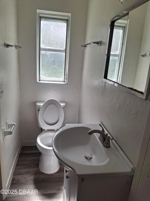 1031 NE 39th Ct, Ocala, FL 34470 - bathroom with healthy amount of natural light, wood finished floors, and vanity