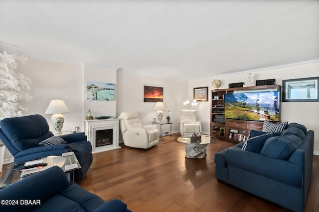 living room with dark hardwood / wood-style flooring