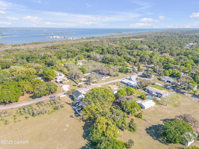 182 Howes St, Oak Hill, FL 32759 - drone / aerial view with a water view and a view of trees