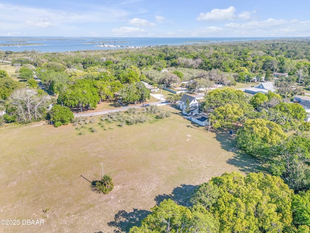 182 Howes St, Oak Hill, FL 32759 - birds eye view of property featuring a water view and a view of trees