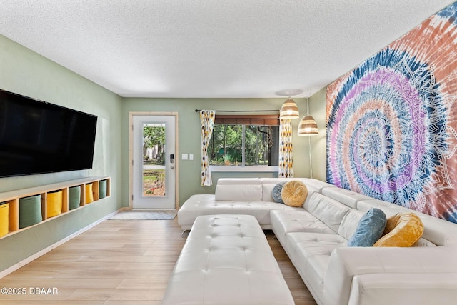 292 Fir St, Ormond Beach, FL 32174 - living area featuring wood finished floors, a textured ceiling, and baseboards