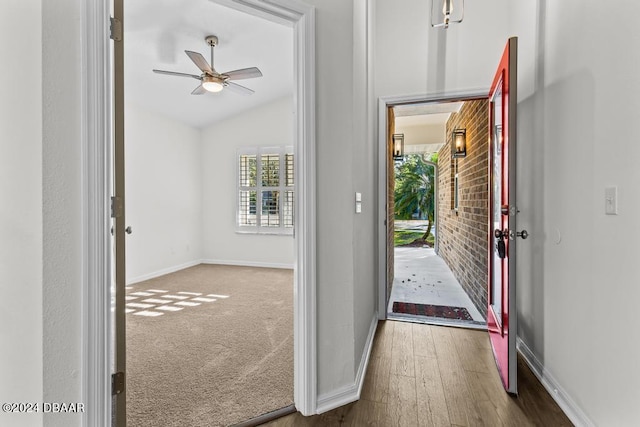 entrance foyer with wood finished floors, baseboards, lofted ceiling, ceiling fan, and carpet flooring