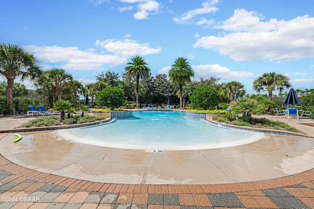 view of pool featuring a patio and pool water feature