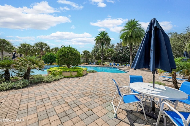 view of swimming pool featuring a patio area