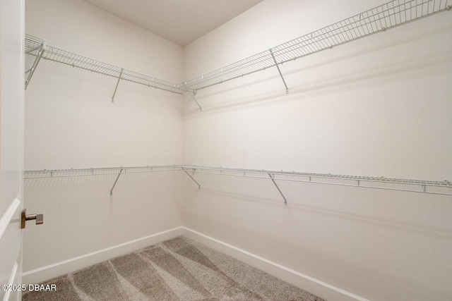 spacious closet with carpet floors