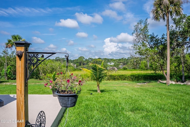 2506 Sunset Dr, New Smyrna Beach, FL 32168 - photo 81