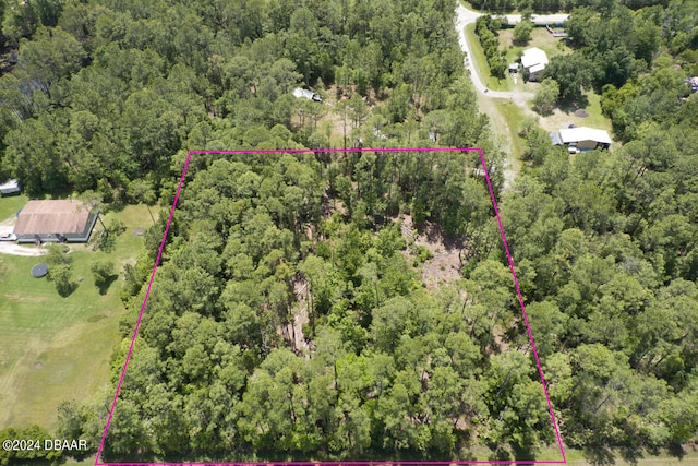 6115 Nutwood Ave, Bunnell FL, 32110 land for sale