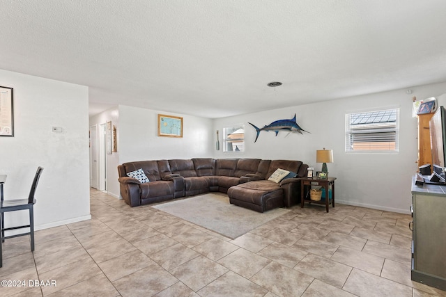 living room with a textured ceiling