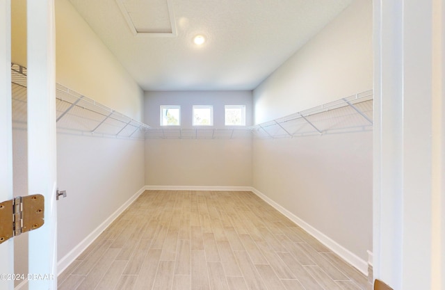 spacious closet with light hardwood / wood-style floors