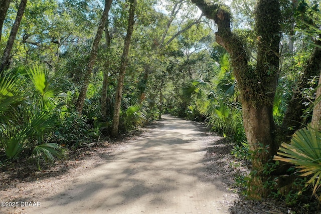 56 Los Lagos Blvd, Palm Coast, FL 32137 - view of road
