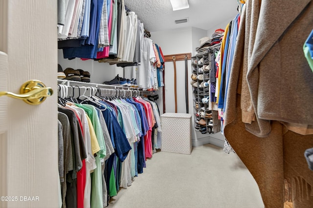 4650 Links Village Dr Unit C402, Ponce Inlet, FL 32127 - walk in closet featuring carpet flooring