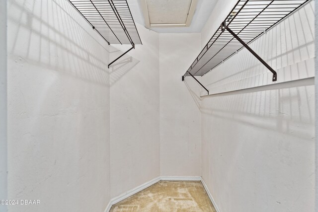 spacious closet with carpet flooring