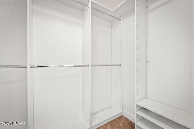 walk in closet with carpet floors