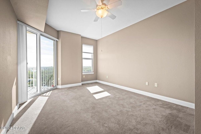 unfurnished room with a wealth of natural light, carpet floors, and ceiling fan