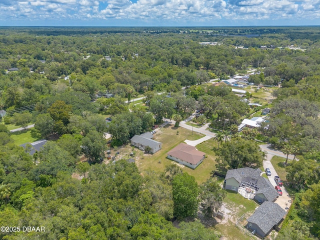 5060 Audubon Ave, Deleon Springs, FL 32130 - aerial view of property and surrounding area with a heavily wooded area