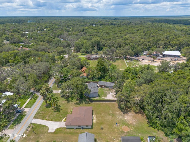 5060 Audubon Ave, Deleon Springs, FL 32130 - view of property location featuring a forest